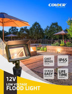 COLOER Brass Rectangular Flood Lights 10-Pack Without Blub, 12V Low Voltage Landscape Floodlights for Outside, Outdoor Wall Lights Illuminating Signs, Walls and Plant Material