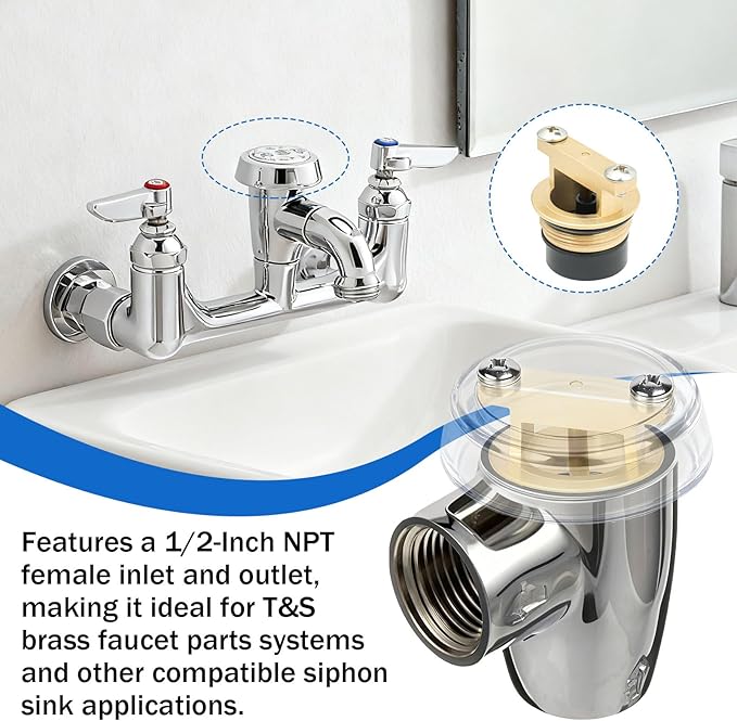 B-0969-RK01 Vacuum Breaker Repair kit for t&s WATTS LF288A 288A Faucet - 2 PK