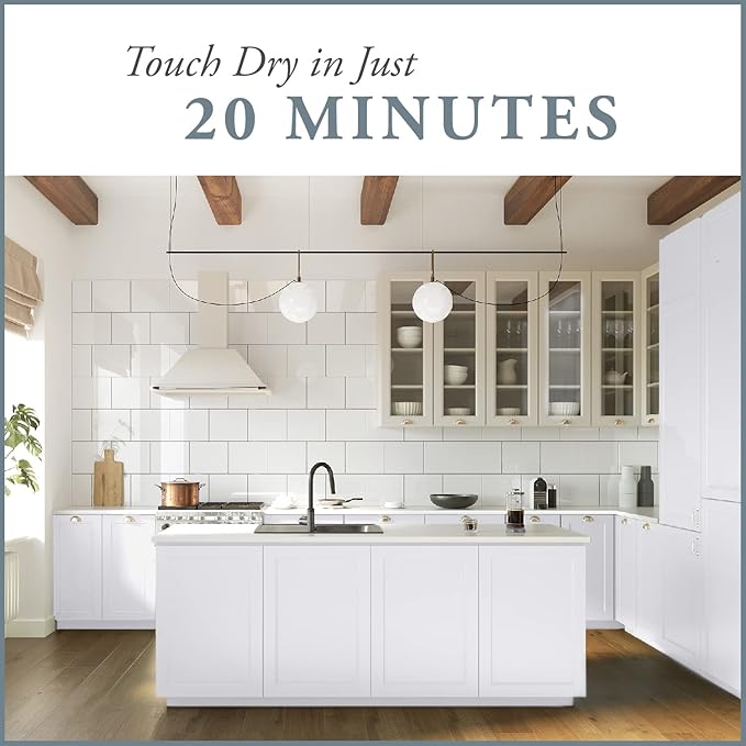 AMY HOWARD AT HOME Chalk-Based One Step Paint for Furniture, Cabinetry, Decor, Finish, and More | No Stripping, Sanding, or Priming | Ultra-Light Base | 16 Ounce | Dearborne