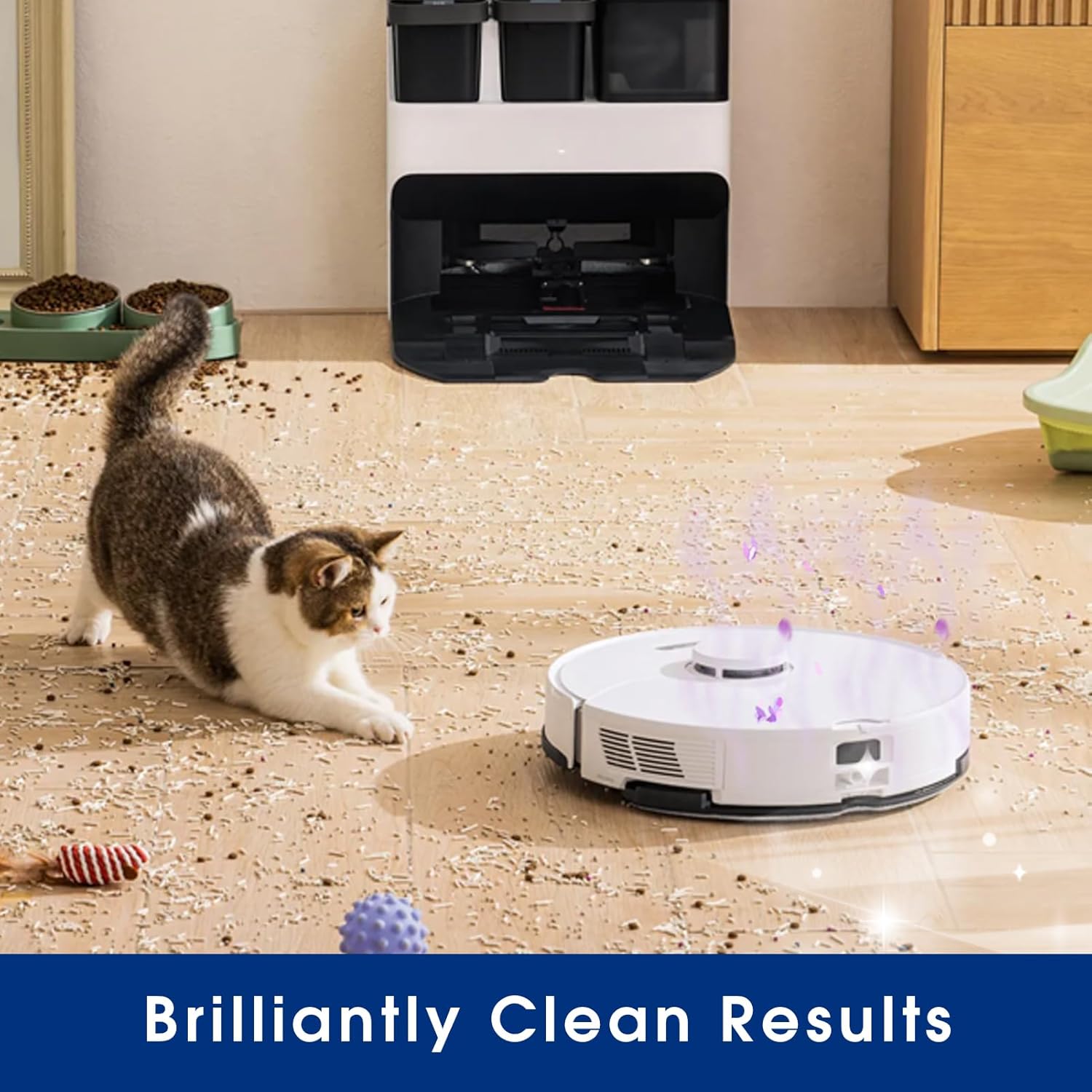 Deep Cleaning & Deodorizing Solution, 33.8FL OZ/1L, Designed for Roborock, Compatible with Saros Series, S8 Series, S7 Series, Q Revo Series, Q Series, Lavender Fragrance