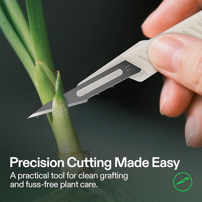 VIVOSUN #11 High-Carbon Steel Blades for Cutting Plants and Propagation