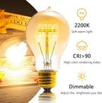 Edison Bulb, A19 Bulbs 6 Pack, Retro Style Incandescent Light Bulbs,Dimmable 120V 40W Antique Vintage Light Bulb, 240 Lmens E26 Base, Amber 2200K Warm White Light, for Home Office Desk Lamp