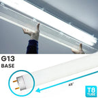 LUXRITE F32T8/865 32W 48 Inch T8 Fluorescent Tube Light Bulb, 6500K Daylight, 2800 Lumens, G13 Medium Bi-Pin Base, LR20735, 6-Pack