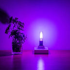 Small Base Purple Light Bulb E12 Colored Chandelier Light Bulbs, 4W 40 Watt Equivalent Dimmable Purple Candelabra Light Bulbs, 6 Pack