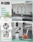 Fapully Chrome Kitchen Faucet with Sprayer,Commercial Single Handle Pull Down Kitchen Sink Faucet