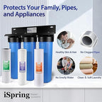 iSpring WGB32B-DS+AHPF12MNPT16X2 Anti-Scale Whole House Water Filter System w/ 3/4'' Push-Fit Stainless Steel Hose Connectors, Reduces Sediment, Scale, Chlorine, Corrosion Water Descaler Filter