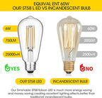 Vintage LED Edison Bulb Dimmable 60W Equivalent 750 Lumens, 6W Light Bulbs Warm White 2700K, Antique ST58 Filament Bulb E26 Base, CRI 90+, Clear Glass, Pack of 24