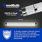 GoodBulb 32-Watt 48 Inch T8 Fluorescent Light Bulb 5000K Daylight White Light Color Medium Bi-Pin Base 3050 Lumens 86 CRI 24000 Life Hours Instant/Programmed Start (Pack of 25 Bulbs)