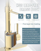 Gold Kitchen Faucet with Soap Dispenser, Pull Down Kitchen Faucet with Sprayer, Single Handle Kitchen Sink Faucet with Dual Function Spray Head, Camper Laundry RV Faucet,PVD