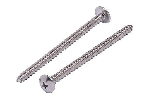 Bolt Dropper #10 X 3 inch Stainless Truss Head Phillips Wood Screw (25 Pieces), 18-8 (304) Stainless Steel Screws, ssd Screws