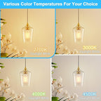 Ralbay ST64 Vintage LED Edison Bulbs 10 Pack, 60W Equivalent, Warm White 2700K, Clear Glass E26 Medium Base