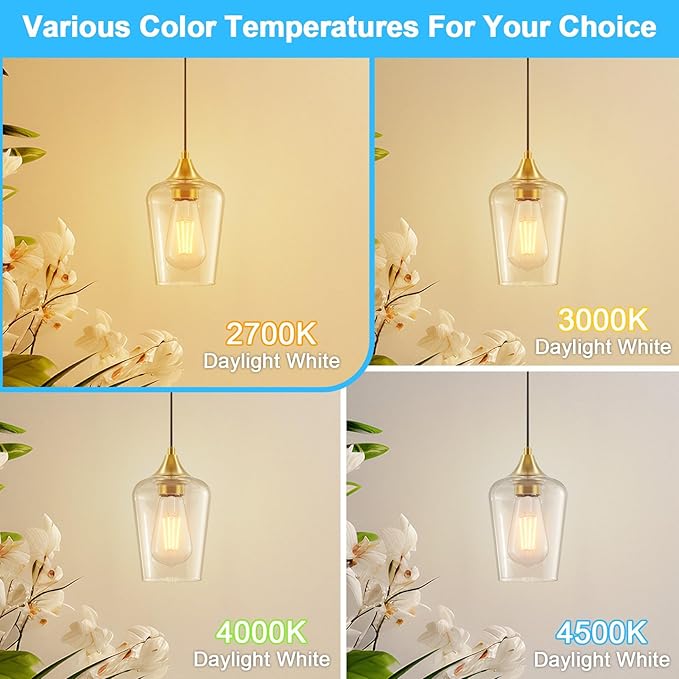 Ralbay ST64 E26 Vintage LED Edison Bulbs 60 Watt Equivalent 6-Pack, Bright Warm White Light 2700K, ST64 Antique LED Filament Bulbs, E26 Medium Base