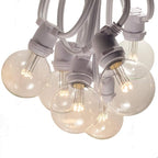Hometown Evolution, Inc. 100 Foot C9 Commercial LED G50 Globe String Lights with 80 LED G50 Clear 2 Inch .6 Watt Bulbs and White Wire