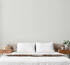 EVOLVE Paint & Primer: Environment-friendly, Low Sheen with One-coat Coverage for Interior & Exterior surfaces (Antique White, 1-Gallon)