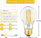 A19 Vintage LED Edison Light Bulbs 60 Watt, E26 Dimmable LED Filament Light Bulbs, 3000K Soft White,6W Equal 60 Watt Incandescent Bulbs,600LM, AC120V, A19 LED Bulb with 90 CRI,COCODI-6Pack (6W-3000K)