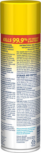 Sprayway All Purpose Cleaner with Lemon Scent, 19oz, Pack of 6 | Foaming Action, Clean, Disinfect, Deodorize | Tough on Grease, Soap Scum, Grime | EPA Approved, Kills 99.9% of Viruses & Bacteria