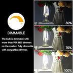 Jensense LED Edison Light Bulbs 8 Watt Dimmable 5000K Daylight White, E26 60 Watt Equivalent, Vintage Bulbs 800lm CRI 90 Clear Glass 32 Pack