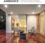 LUXRITE 4 Inch LED Recessed Can Lights, 10W=60W, CCT Color Selectable 2700K | 3000K | 3500K | 4000K | 5000K, Dimmable Retrofit Downlights, 750 Lumens, Energy Star, Wet Rated, Baffle Trim (16 Pack)