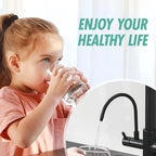 Fapully Commercial Kitchen Faucet with Pull Down Sprayer and Water Filter, Matte Black 3 in 1 Kitchen Faucets with Drinking Water Faucet