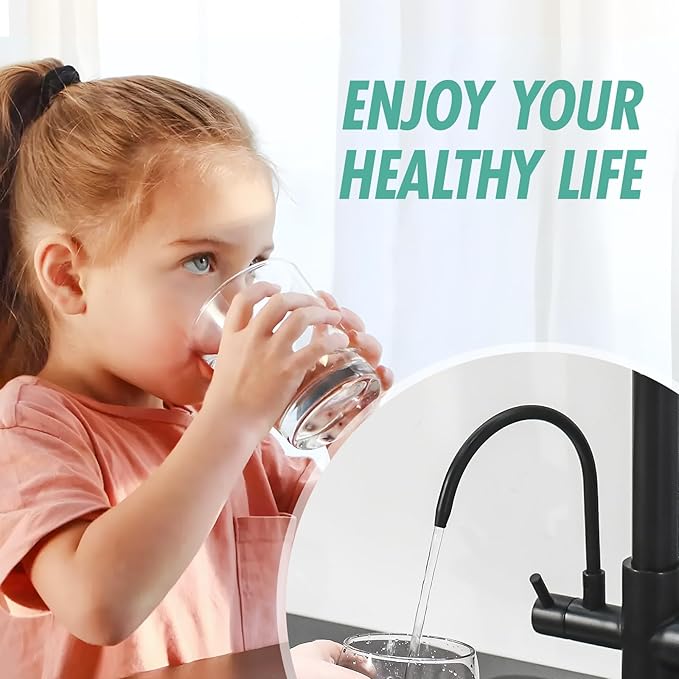 Fapully Commercial Kitchen Faucet with Pull Down Sprayer and Water Filter, Matte Black 3 in 1 Kitchen Faucets with Drinking Water Faucet