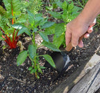 Olmsted Forge Garden Tool Set, 5 Pieces, Heavy Duty Powder Coated Steel, Cork Handle