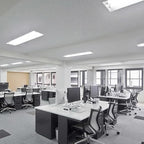 LUXRITE LR20730 (4-Pack) F32T8/841 32-Watt 4 FT T8 Fluorescent Tube Light Bulb, Cool White 4100K, 2800 Lumens, G13 Medium Bi-Pin Base