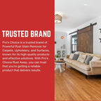 Pro's Choice Rust Away Rust Remover - Powerful Stain Remover & Rust Cleaner - Rust Stain Remover for Carpets, Upholstery, and Surfaces - Bathroom Stain Remover for Multiple Surfaces (16 fl. oz)