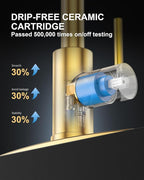 Kitchen Sink Faucet with Soap Dispenser: Brushed Gold Kitchen Faucets with Pull Down Sprayer - Stainless Steel Single Handle Kitchen Faucet with Deck Plate for Farmhouse RV Laundry