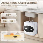 4 Gallon Electric Tank Water Heater, 120V 1500W Under Sink Instant Hot Tank Water Heater for RV, Camper, Kitchen, Food Truck, Wall or Floor Mounted, Black