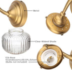 Vintage Gooseneck Wall Sconce 1-Light with Clear Striped Glass Globe Shade Indoor Hardwired Wall Mounted Lamp Fixture