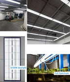 (10pack) 48 inch F32T8/865 Fluorescent Tube Light,4FT 32Watts 6500K Full Spectrum Daylight Bulb,Ra83 High Transparent Replacement for Ceiling Lights,Fish Tank Bulb