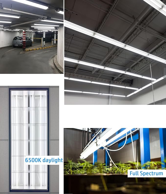 (10pack) 48 inch F32T8/865 Fluorescent Tube Light,4FT 32Watts 6500K Full Spectrum Daylight Bulb,Ra83 High Transparent Replacement for Ceiling Lights,Fish Tank Bulb