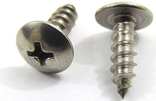 Bolt Dropper No. 6 x 1/2" Stainless Truss Head Phillips Wood Screw, (100 pc), 18-8 (304) Stainless Steel Sheet Metal Screws, Type A Point, Plain Finish by Bolt Dropper