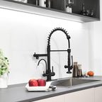 Fapully Commercial Kitchen Faucet with Pull Down Sprayer and Water Filter, Matte Black 3 in 1 Kitchen Faucets with Drinking Water Faucet