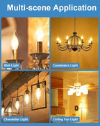 E12 B10 Clear Candle Base Bulb with Warm White 2700K, 40W Candelabra Light Bulbs, 400 Lumen Dimmable, 120V Incandescent Chandelier Light Bulbs for Pendants, Ceiling Fan, Wall Sconces (12-Pack)