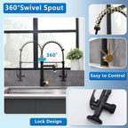 Fapully LED Kitchen Faucet with Pull Down Sprayer,Black&Gold Commercial Kitchen Faucet for Kitchen Sink