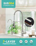 Kitchen Faucet and Water Filter Faucet: Stainless Steel Kitchen Sink Faucet with Drinking Water Faucet - Brushed Nickel Single Handle Tap with Pull Down Sprayer for Kitchen Sink Farmhouse Bar
