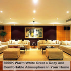 Vinaco Par20 Bulb 50 Watt 2 Pack, High Output Halogen 50W Floodlight, Warm White 3000K Dimmable E26, Long Lasting for Track and Recessed Lighting