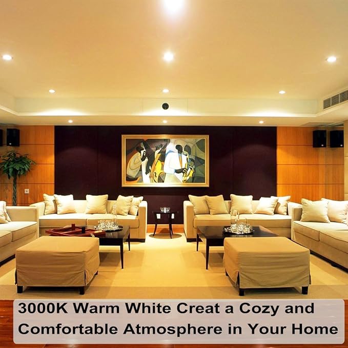 Vinaco Par20 Bulb 50 Watt 2 Pack, High Output Halogen 50W Floodlight, Warm White 3000K Dimmable E26, Long Lasting for Track and Recessed Lighting