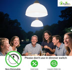 Depuley LED Light Bulbs E26: Chandelier Lights Bulb 6W Equivalent 60W - Edison Vintage Bulbs Daylight 5000K ST58 Clear Glass Bulb 800LM 80+CRI Non-Dimmable 6-Pack