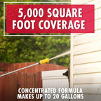 30 SECONDS Pressure Washer Concentrated Cleaner – Power Cleans Stains from Algae, Mold & Mildew, Dirt, Grime – Makes up to 20 Gallons, 2 PACK