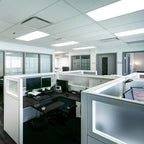 LUXRITE F17T8/850 17W 24 Inch T8 Fluorescent Tube Light Bulb, 5000K Bright White, 1350 Lumens, G13 Medium Bi-Pin Base, LR20753, 4-Pack