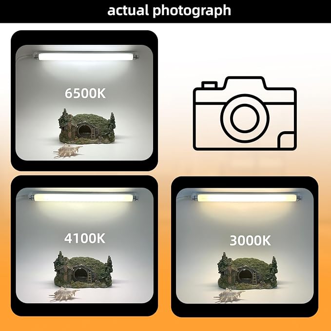 6 Pack F15T8 18 Inch 15W T8 Fluorescent Replacement Tube Bulb Daylight 6500K Medium Bi-Pin G13 Base 6 Count