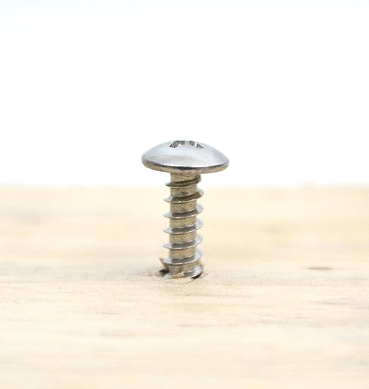 Bolt Dropper #8 x 1/2" Stainless Truss Head Phillips Wood Screw (100 Piece) 18-8 (304) Stainless Steel Screws - ssd Screws