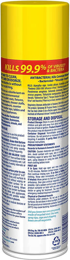 Sprayway Foaming Action All Purpose Cleaner and Disinfectant, Lemon Scent, 19 oz, (SW5014R)