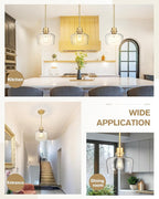 Emak 8 Inch Pendant Lights Kitchen Island, 2 Pack Gold Pendant Light Fixtures with Clear Glass Shade, Modern Island Lights for Kitchen, Dining Room, Bathroom, PL122-GD-CG-2PK