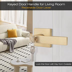 EHOMEWARE 6 Pack Modern Gold Door Handles, Entry Door Levers with Keys, Lever Door Handle with Modern Contemporary Design for Home Bedroom or Bathroom Interior or Front Exterior Doors