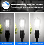 Vintage LED Edison Bulbs 60 Watt Equivalent Dimmable 7W ST58 LED Filament Light Bulbs Neutral White 4000K Antique Style Lighting High Brightness 800LM E26 Medium Base Clear Glass Home Office, 12 Pack