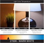 Sunlite PLD26/SP27K 26-Watt Compact Fluorescent Plug-In 2-Pin Light Bulb, 2700K Color