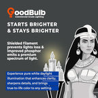 GoodBulb 17-Watt 24 Inch T8 Fluorescent Light Bulb 5000K Daylight White Light Medium Bi-Pin Base 1400 Lumens 86 CRI 36000 Life Hours Instant/Programmed Start Pack of 25